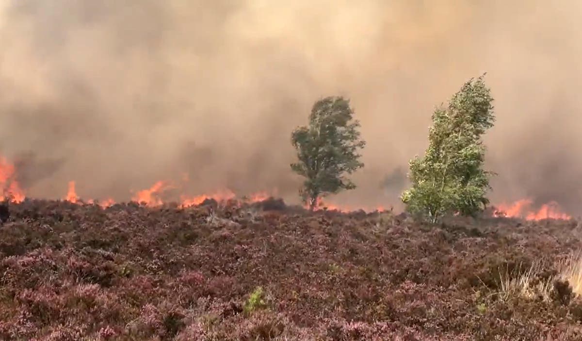 Fire safety warning issued as blaze breaks out at Hankley Common in Surrey