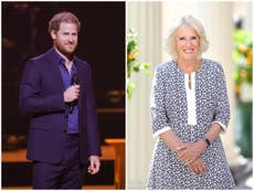 ‘Close your eyes and you won’t feel it’: Harry compares first meeting Camilla to getting an ‘injection’