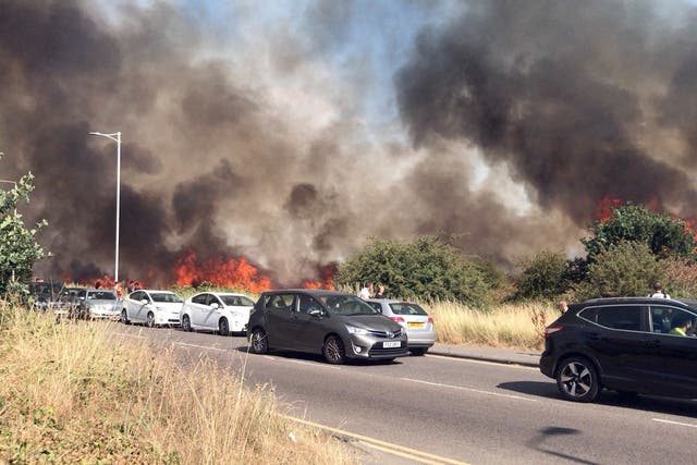<p>Grass fires at Wanstead Flats in northeast London  during the heatwave caused heavy smoke throughout the area </p>