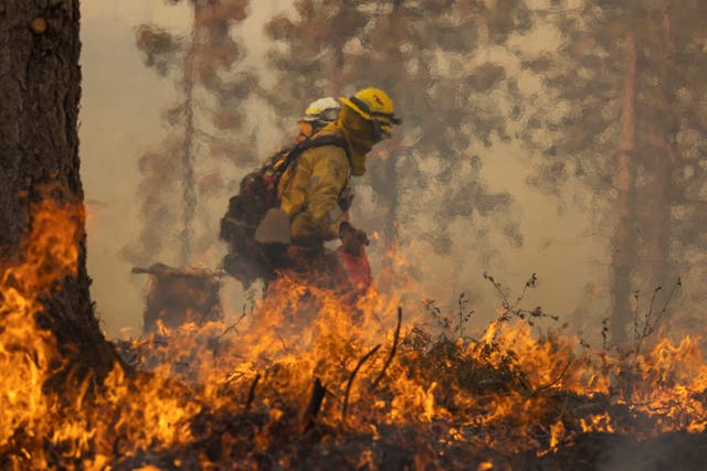 <p>A firefighter battles the Oak Fire on near Mariposa, California, on July 24, 2022</p>