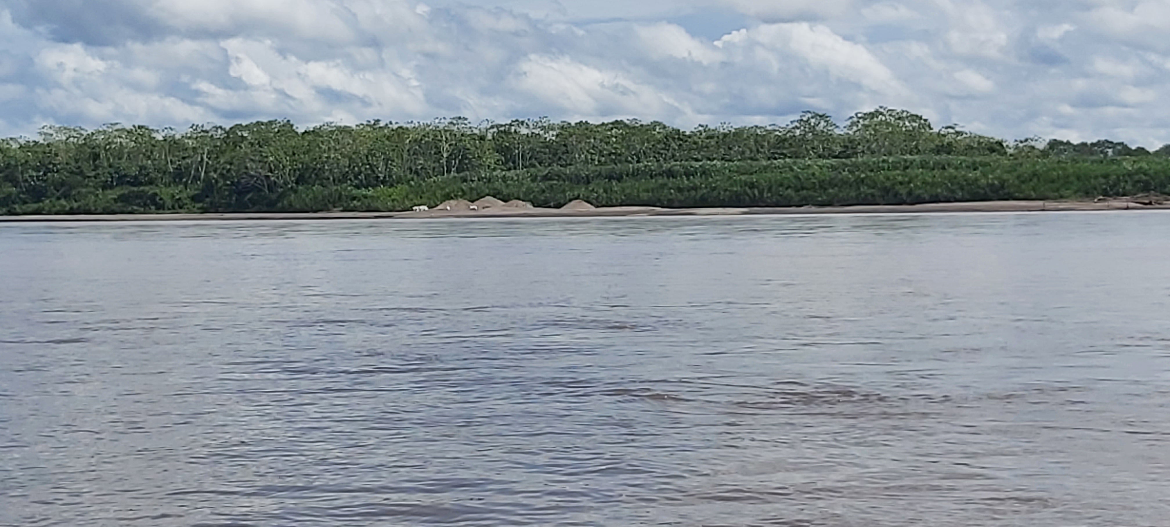 An illegal mining camp on the Maranon River