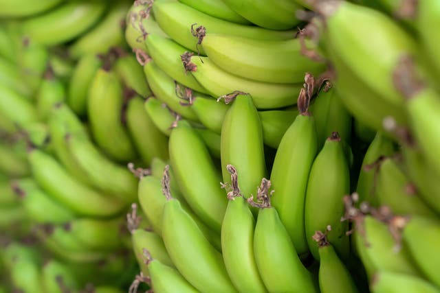 Starch in slightly green bananas can help prevent cancers, new research has found (Alamy/PA)
