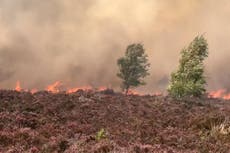 ‘Lethally hot’: Warning UK heatwave will bring deaths, droughts and wildfires