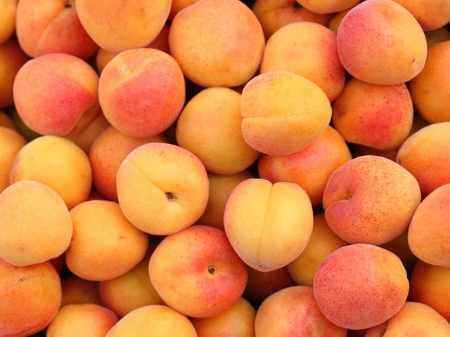 <p>The UK has produced a whopping 250 tons of apricots this year </p>