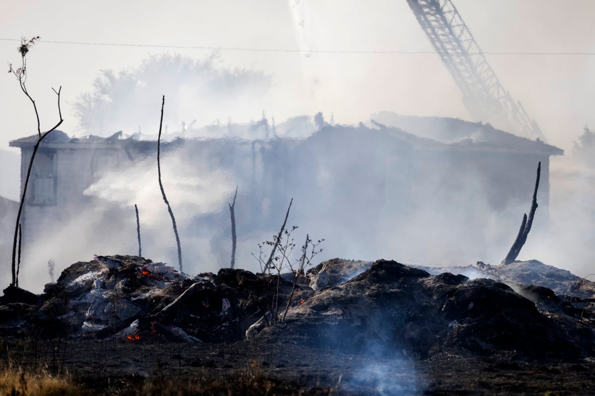 Nine homes destroyed in Dallas grass fire as punishing heat hits Texas