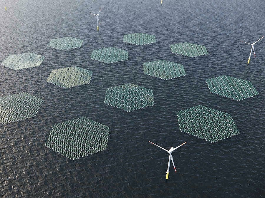 SolarDuck is working on an offshore floating solar project in the North Sea