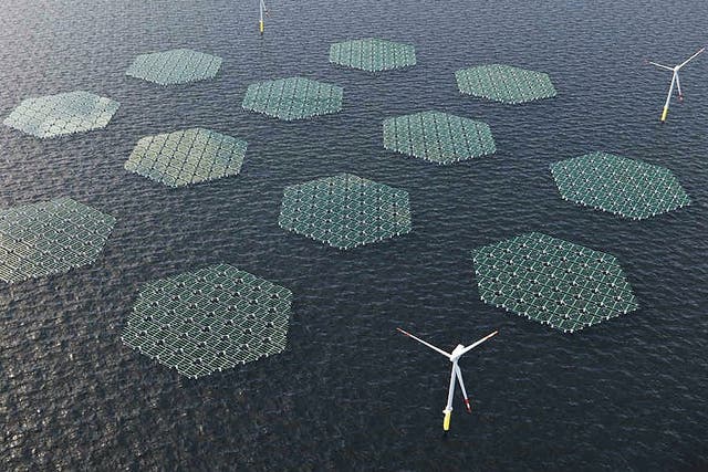 <p>SolarDuck is working on an offshore floating solar project in the North Sea</p>