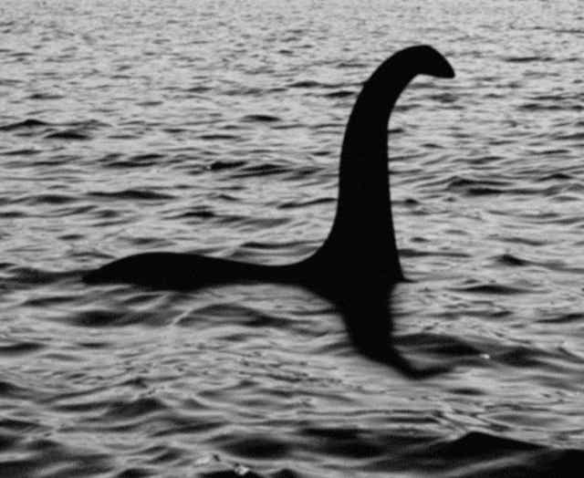 <p>Cynics have long argued that plesiosaurs could not have lived in Loch Ness as they needed a salwater environment</p>