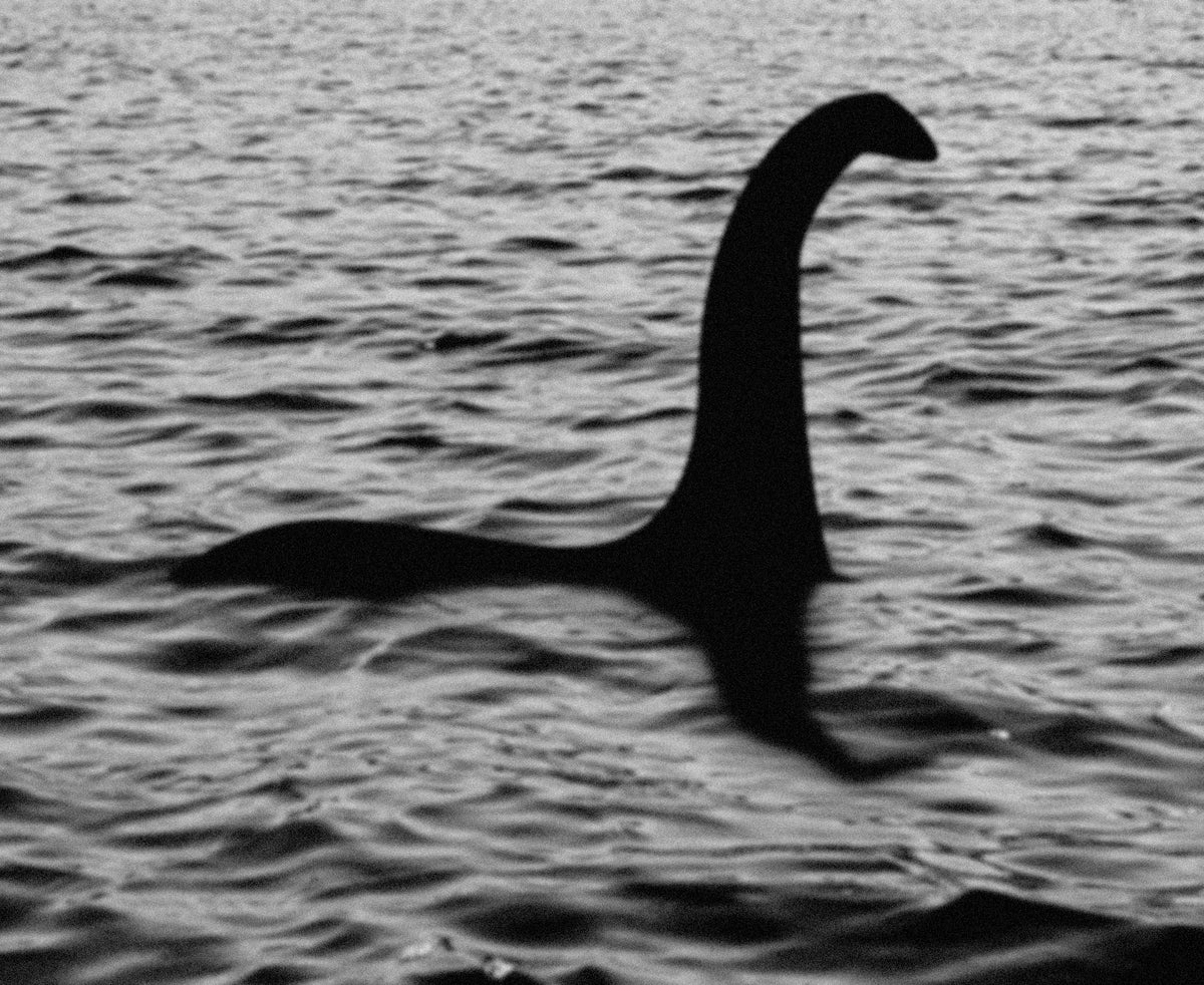 Existence of loch ness monster ‘plausible,’ scientists say after fossil discovery