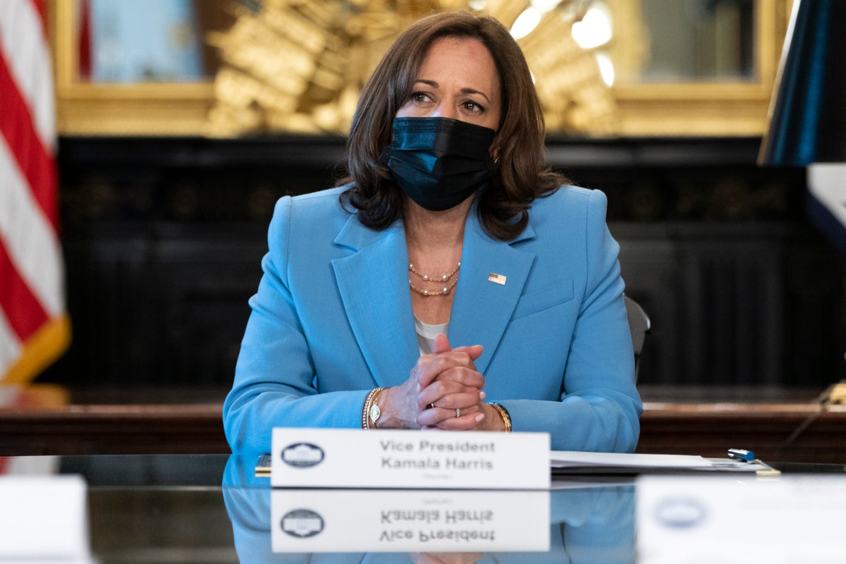 Kamala Harris describes herself aloud for benefit of people with disabilities – to mockery of Republicans
