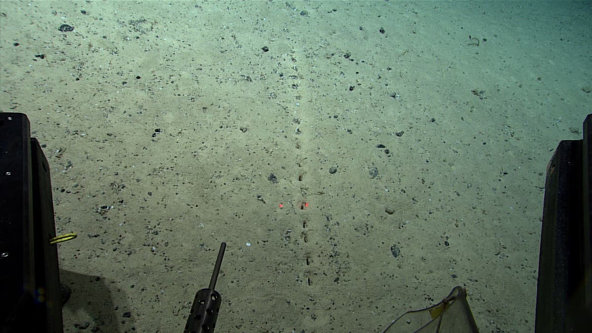 Scientists find mysterious ‘perfectly aligned’ holes on Atlantic ocean floor