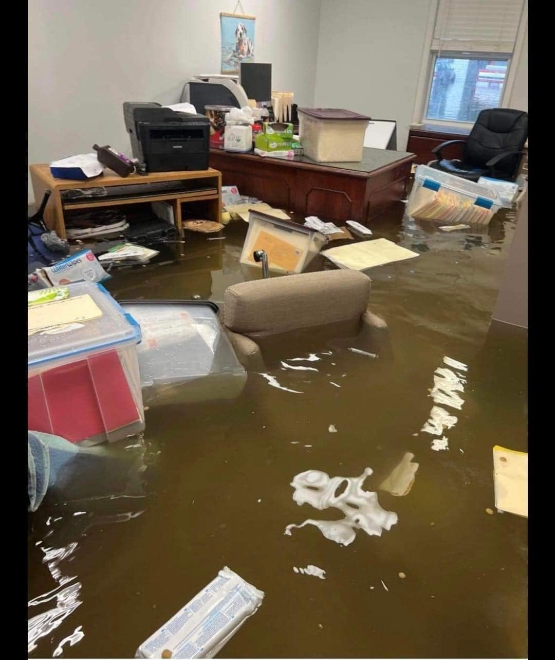 The inside of Stray Paws Adoptables, a St Louis-area rescue facility for animals, is seen flooded after record-breaking rainfall fell in the Missouri city on Tuesday