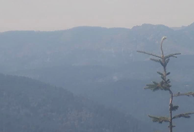 <p>Smoke from fires in the Grants Pass area of Oregon. A man was later arrested of suspected arson</p>