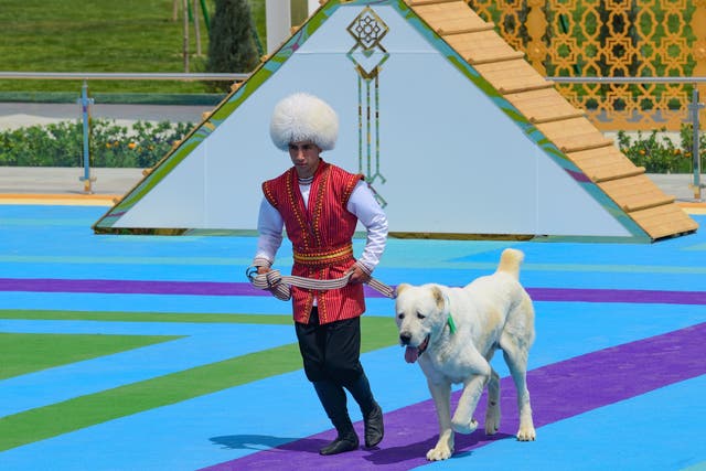 Turkmenistan Alabay Dogs