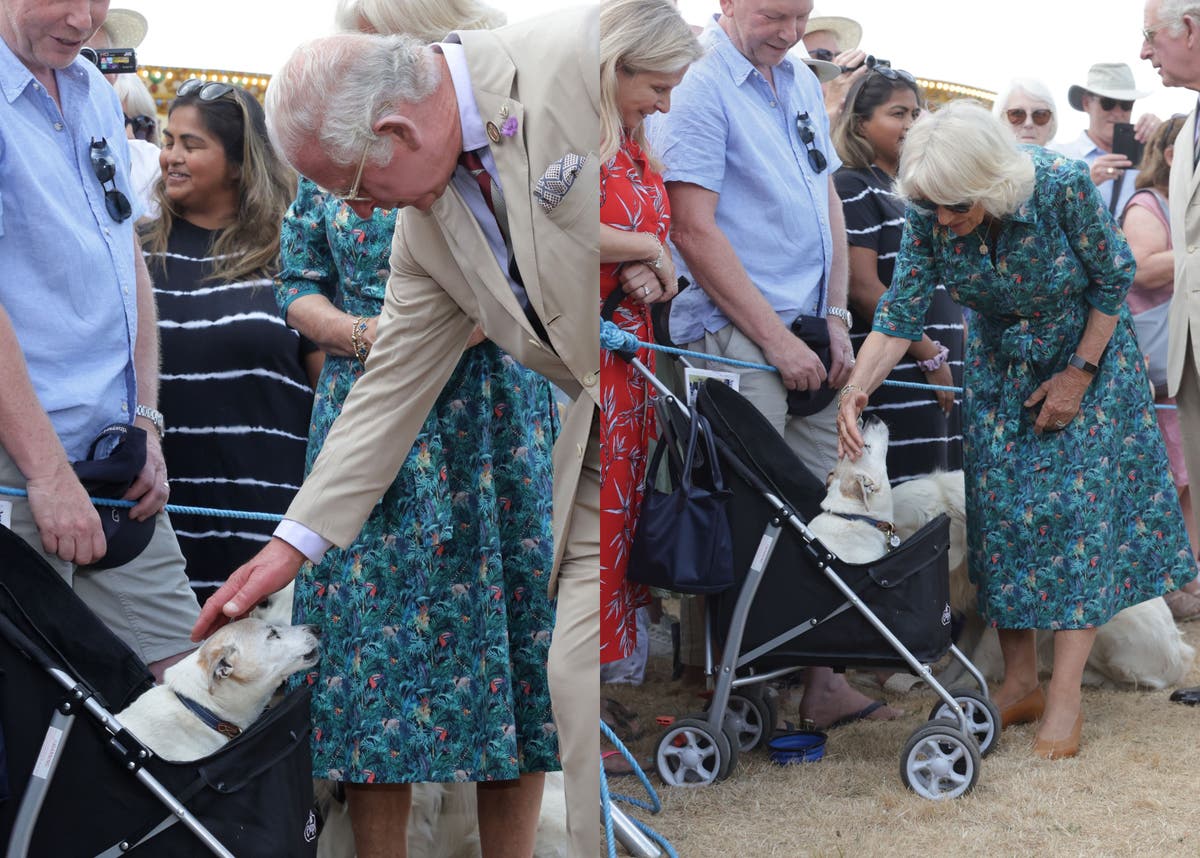 Princes Charles and Duchess of Cornwall admire dog in a pram at Chelsea Flower Show