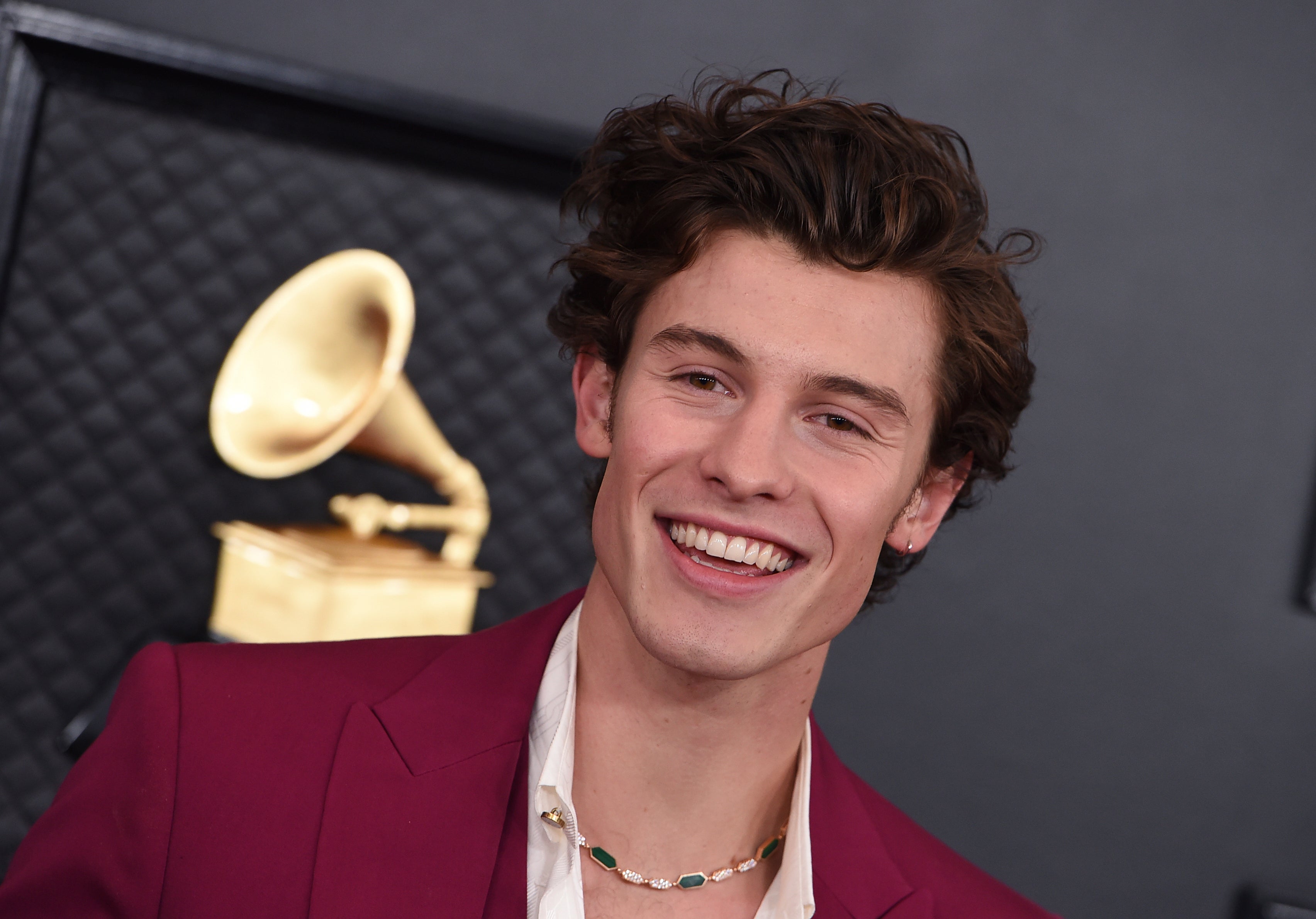 Shawn Mendes cancels world tour to prioritize his health The Independent