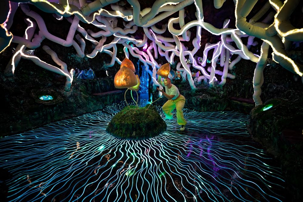 The mycelium room in the Wake the Tiger ‘amazement park’ that is gearing up to open in Bristol (Ben Birchall/PA)