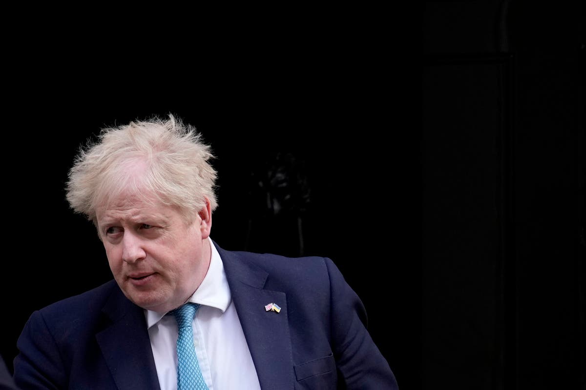 Boris Johnson opposes Tory grassroots campaign to keep him in power, Nadine Dorries says