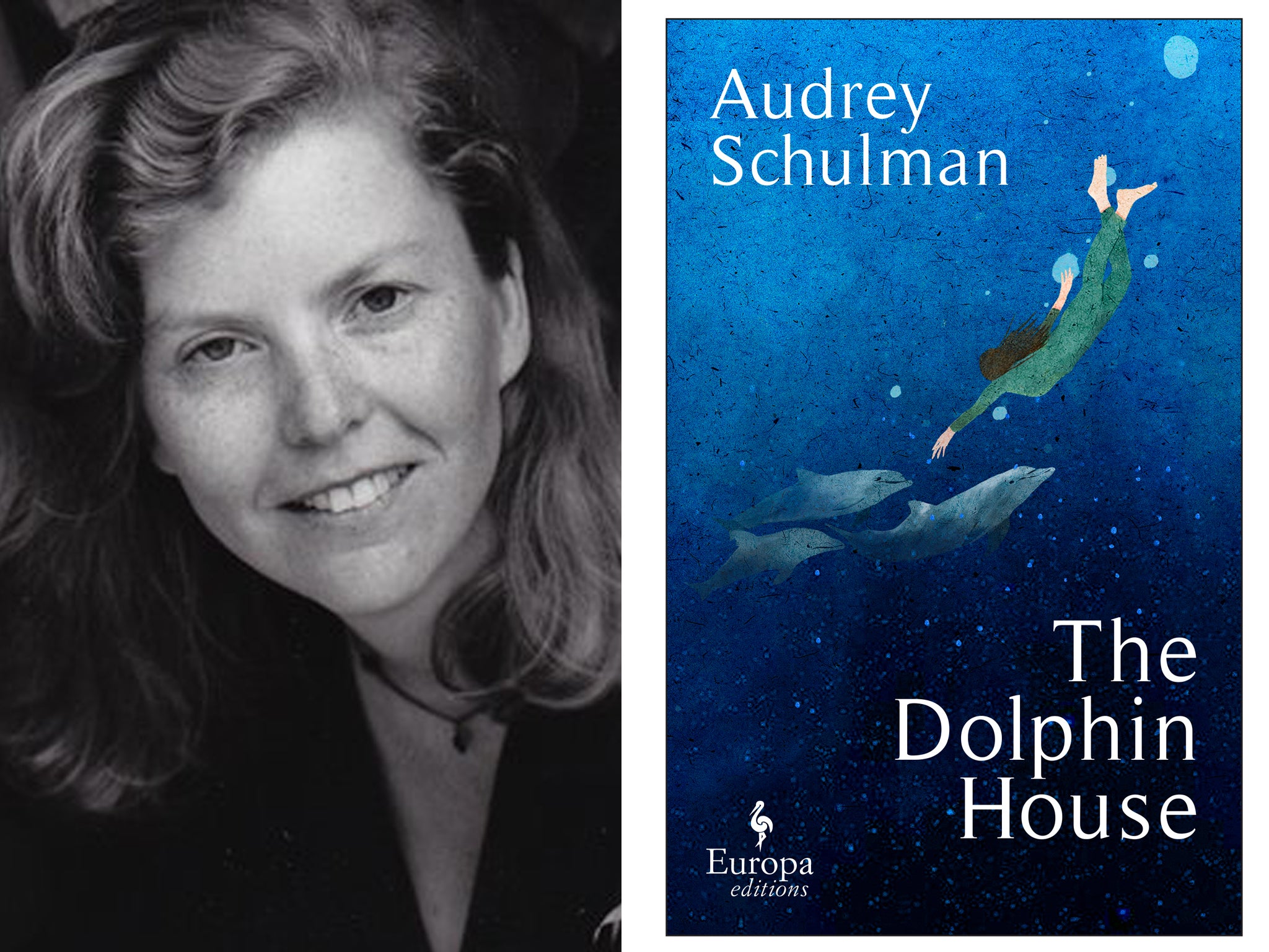 Audrey Schulman’s book tackles failed masculinity and human-dolphin bonding