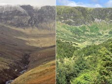 Rewilding: Before and after photos reveal stunning transformation of Scottish glen