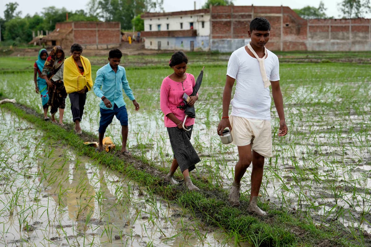 Lightning kills nearly 50 this week in India's Uttar Pradesh