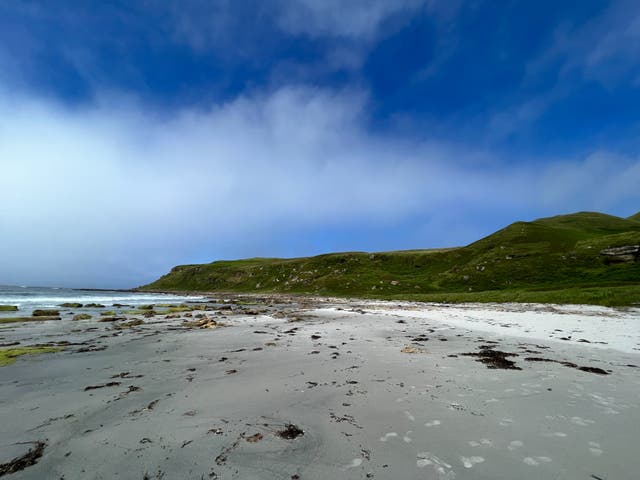<p>Green dreams are made of this: a beach on Eigg </p>