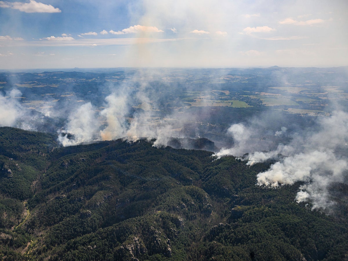 Almanya-Çek sınırındaki orman yangını milli parkı tahrip ederken yüzlerce kişi tahliye edildi