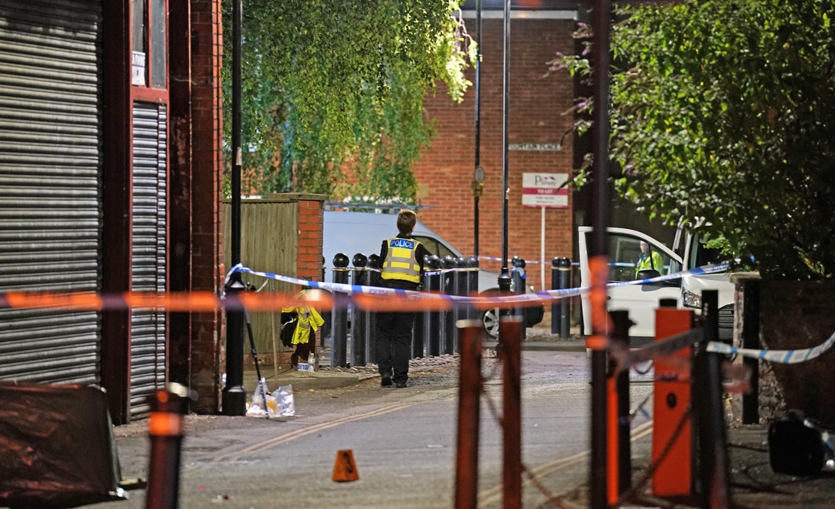 Boston stabbing: Two arrested after girl, 9, killed in lane as police appeal for witnesses