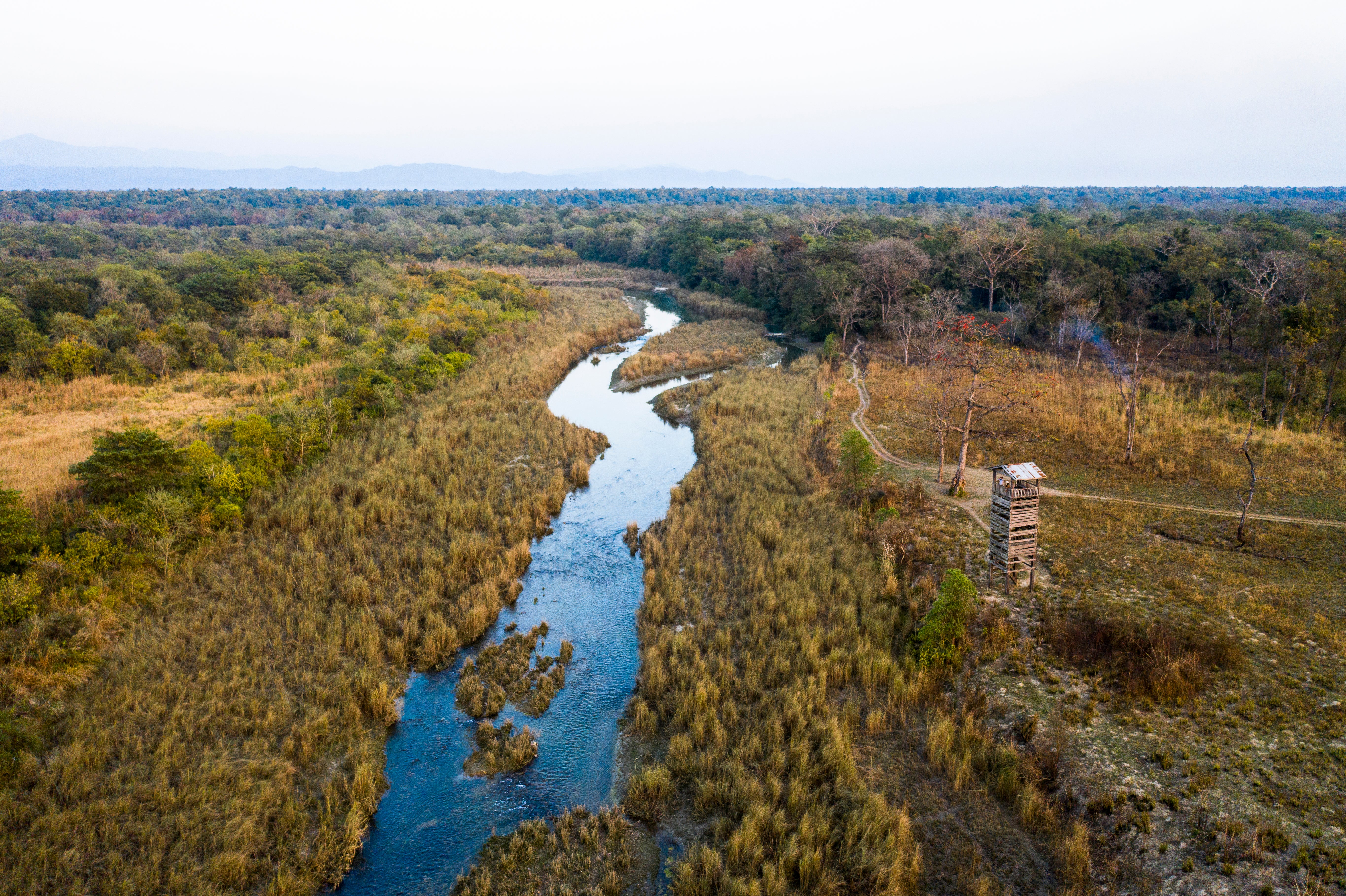 A watchtower in Bardia National Park in Nepal used by rangers to monitor tigers (Emmanuel Rondeau/ WWF-US)