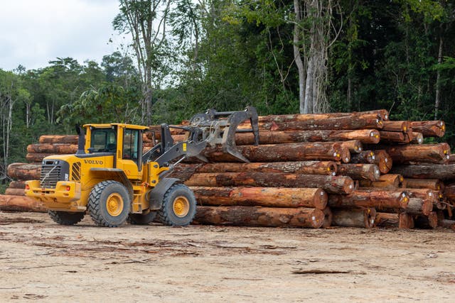 <p>Brazil grants permit for major road through middle of Amazon rainforest</p>