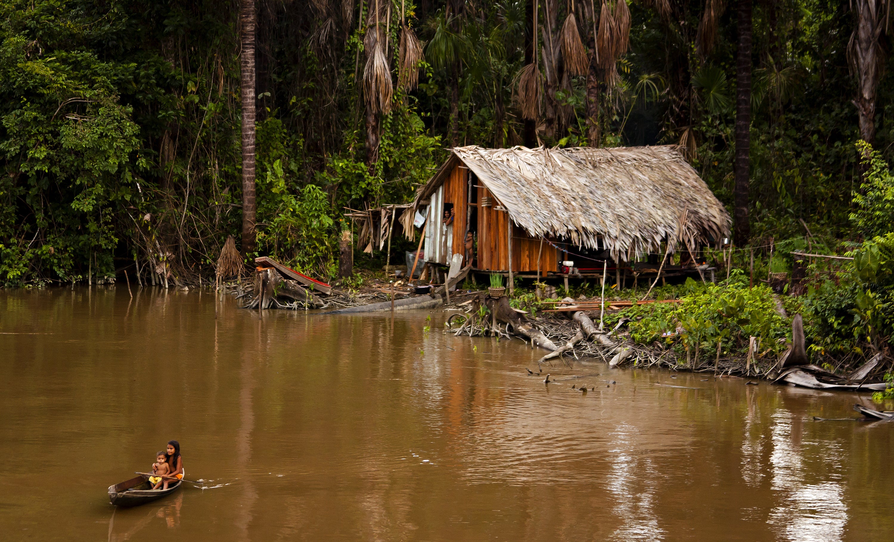 Deforestation, often illegal, of the Amazon rainforest is threatening the existence of the indigenous communities