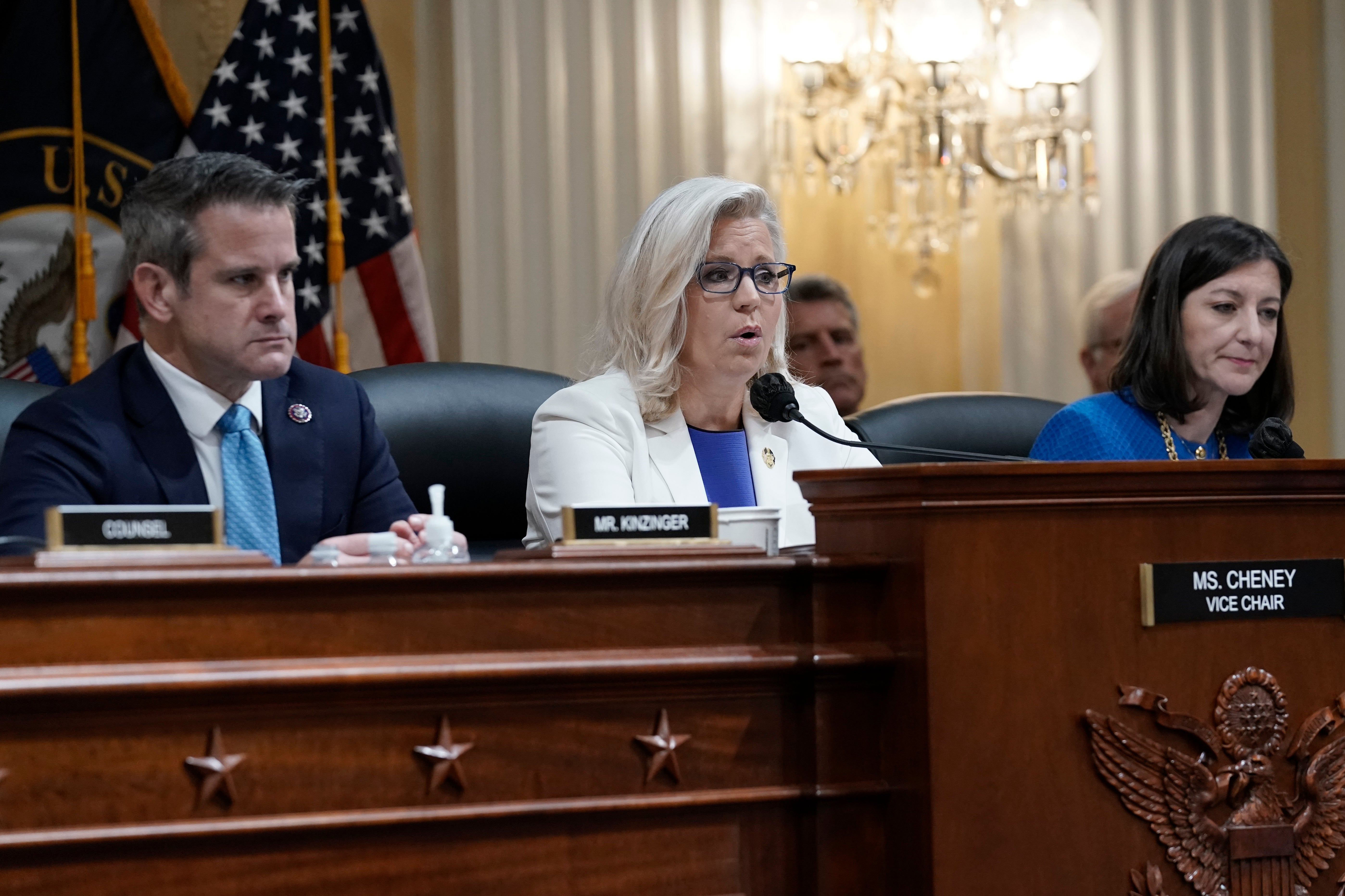 Adam Kinzinger, Liz Cheney and Elaine Luria