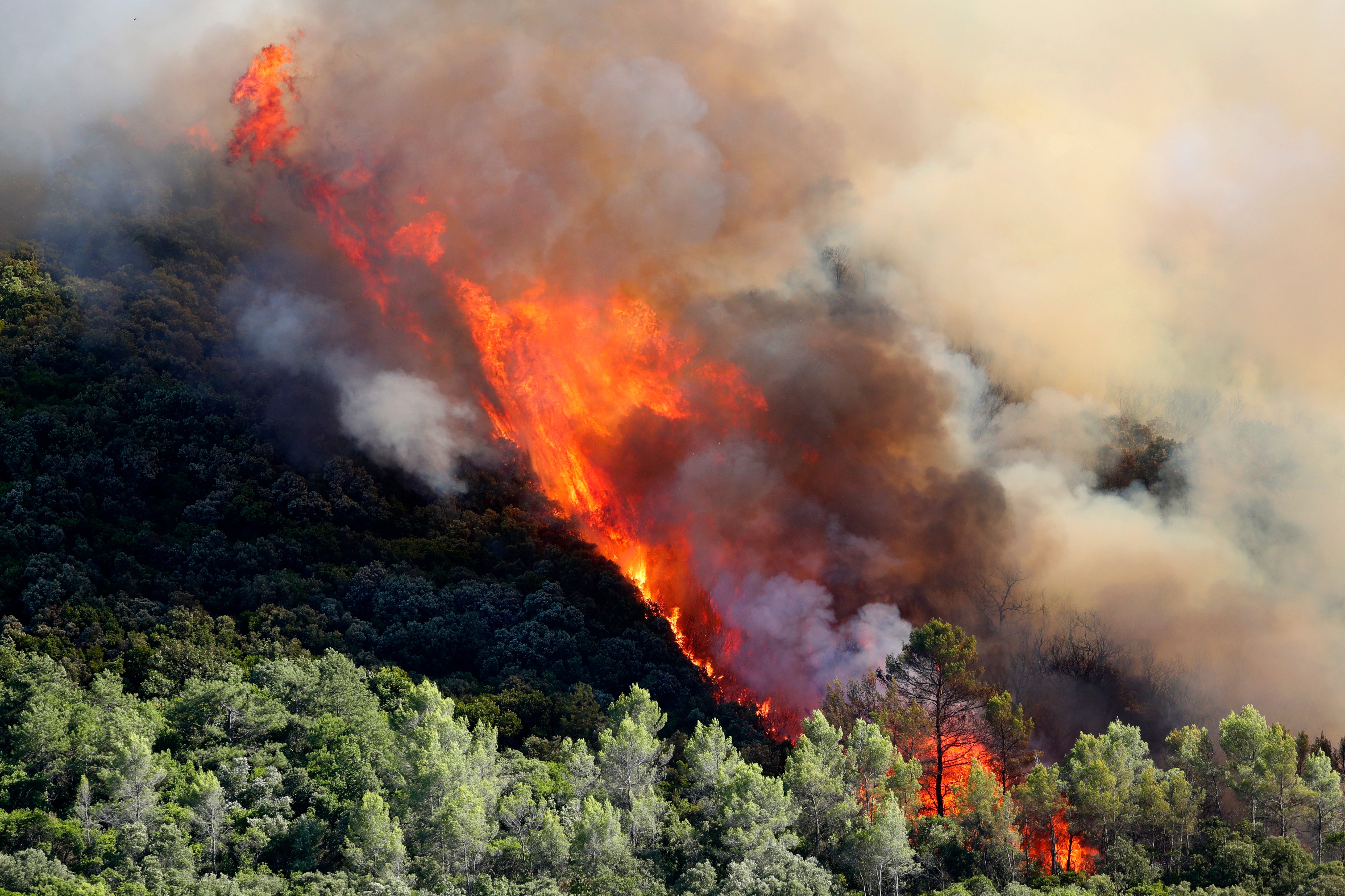 France has been devastated by wildfires in recent weeks as temperatures soared