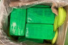 Colombian cocaine worth £40 million found hidden in banana shipment at Essex port