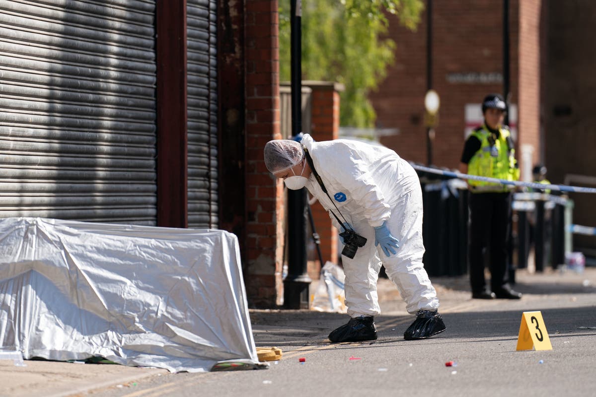 Lilia Valutyte: Man, 22, arrested over fatal stabbing of nine-year-old