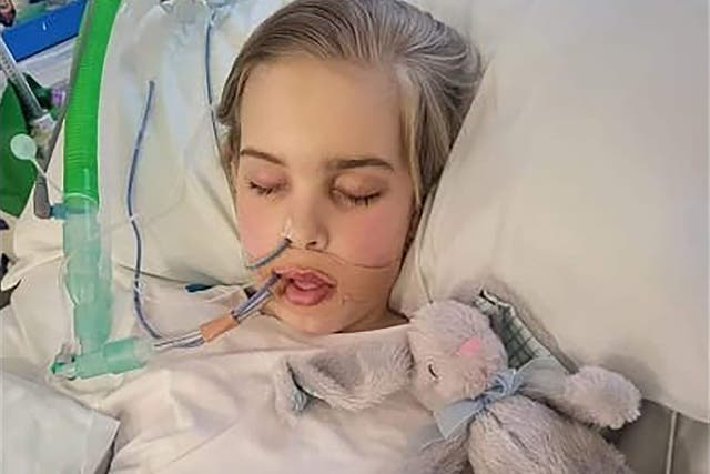 Archie Battersbee, 12, who was left in a comatose state after suffering brain damage (Hollie Dance)