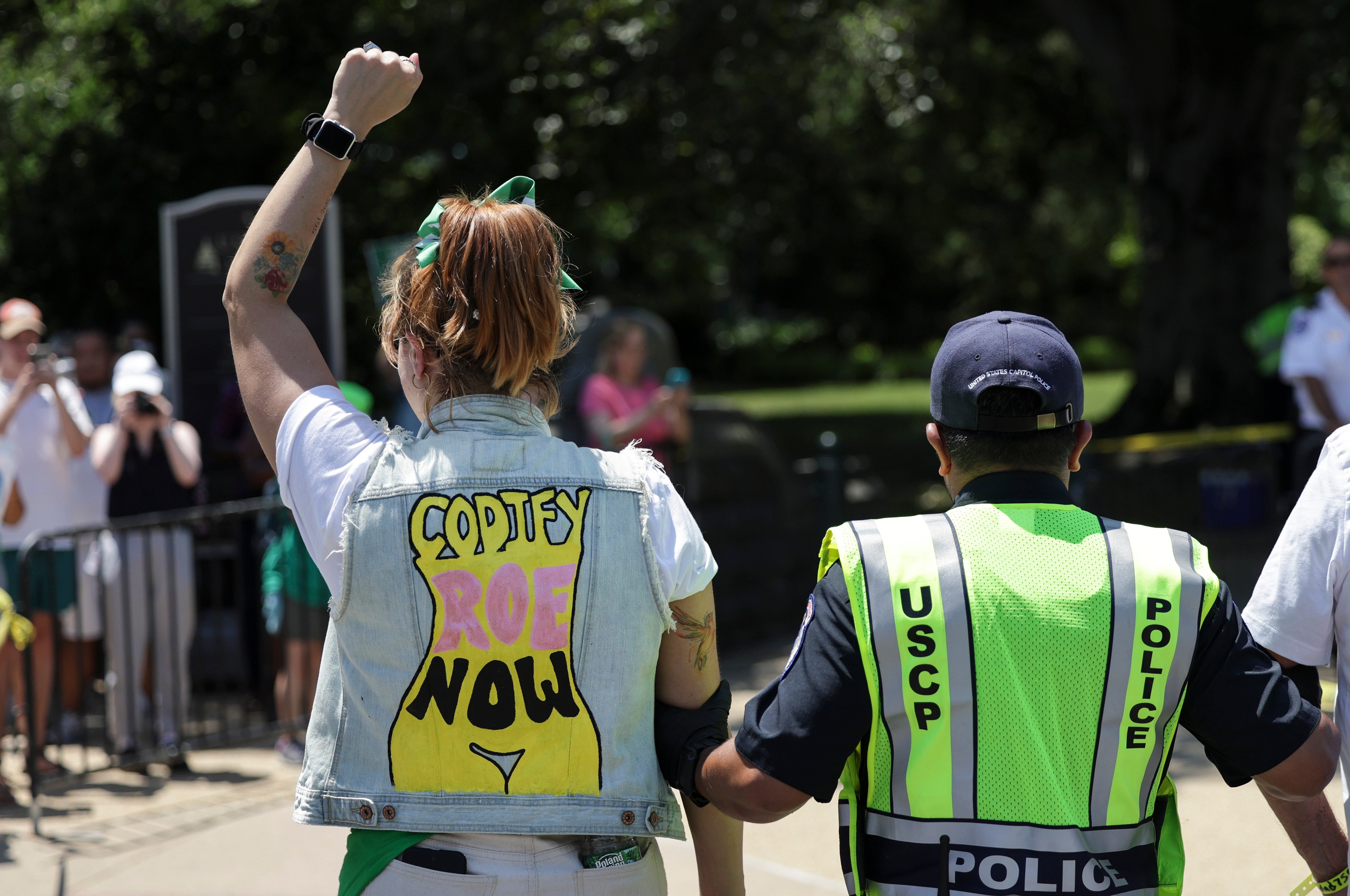 Capitol Police officers removed abortion rights activists as they protested outside the US Supreme Court in June