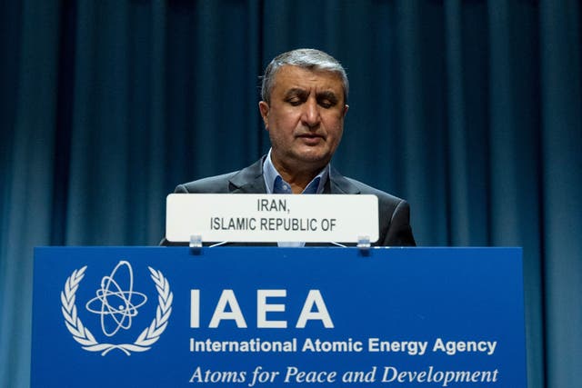 <p>File: Chief of the Atomic Energy Organization of Iran Mohammad Eslami delivers a speech during the International Atomic Energy Agency General Conference in Vienna</p>