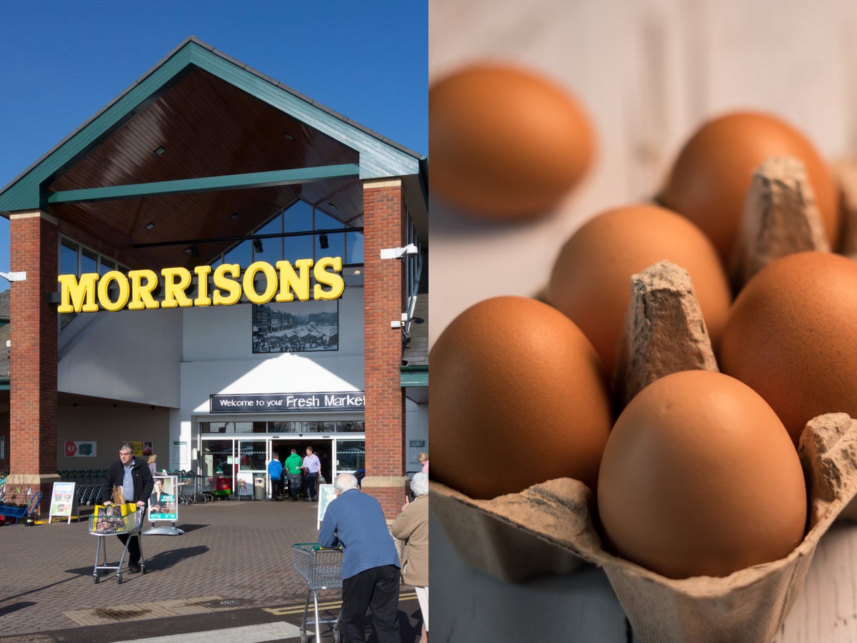 Morrisons launches ‘carbon-neutral’ eggs from hens fed on insects