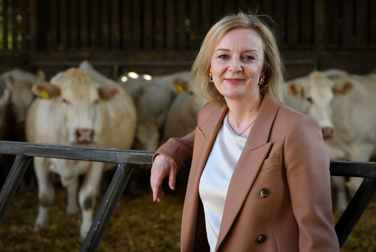 Has Liz Truss fallen victim to ‘civil service reform syndrome’?