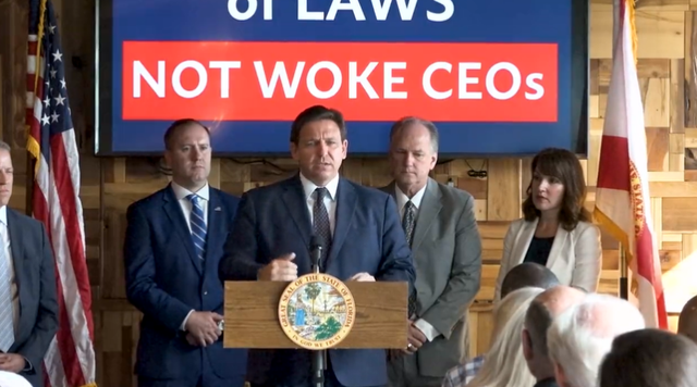 <p>Florida Governor Ron DeSantis vows to fight ‘woke CEOs’ who he claims are ‘discriminating’ against people based on their political and religious ideologies </p>
