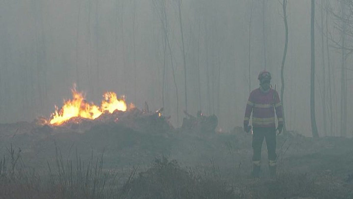 Emergency services battle fire north of Lisbon