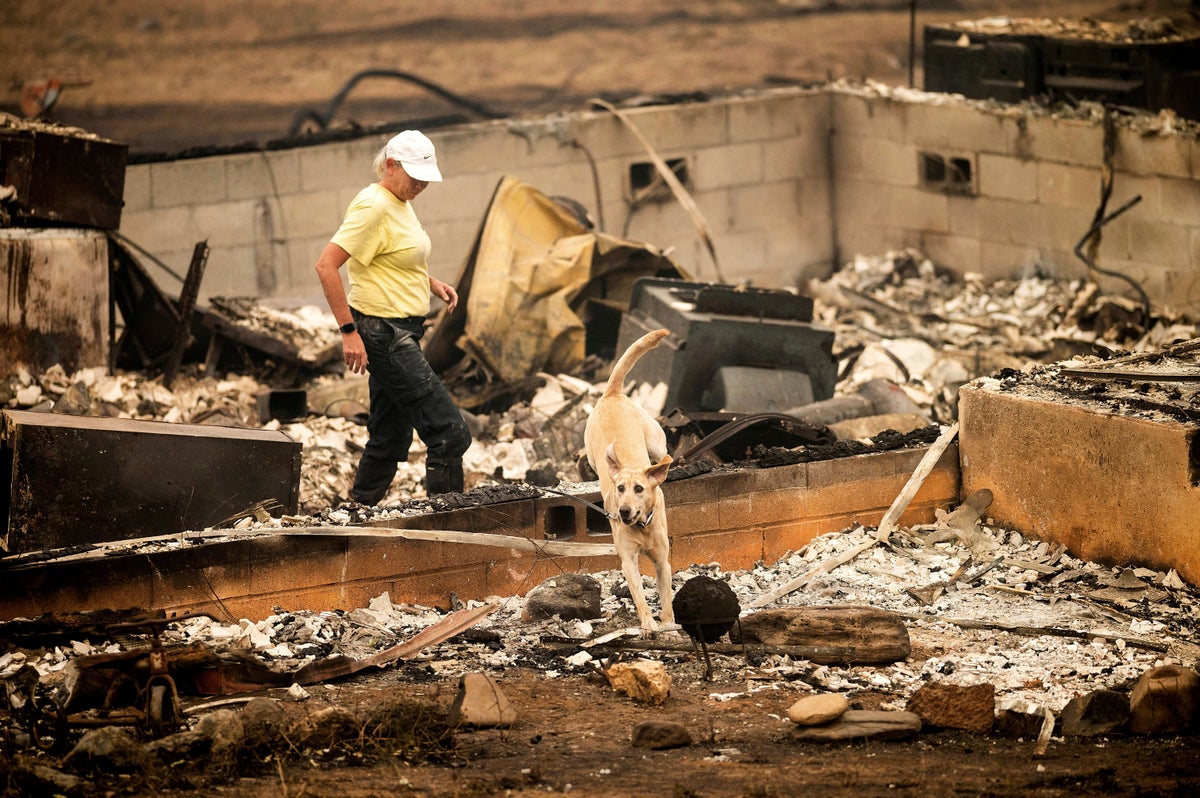 Progress made in fight against California fire that killed 2