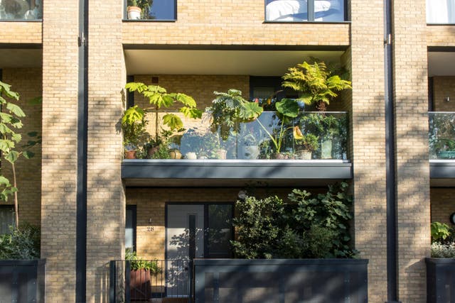 How to create a balcony garden (Alamy/PA)