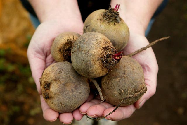 Beetroot juice could help sufferers of diabetes (Gareth Fuller/PA)