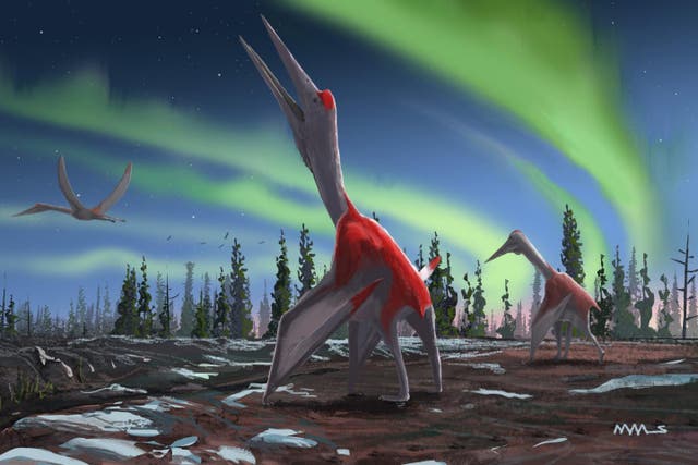 <p>An artist’s illustration of a species of pterosaur, Cryodrakon boreas, that dominated the skies above North America about 75 million years ago</p>