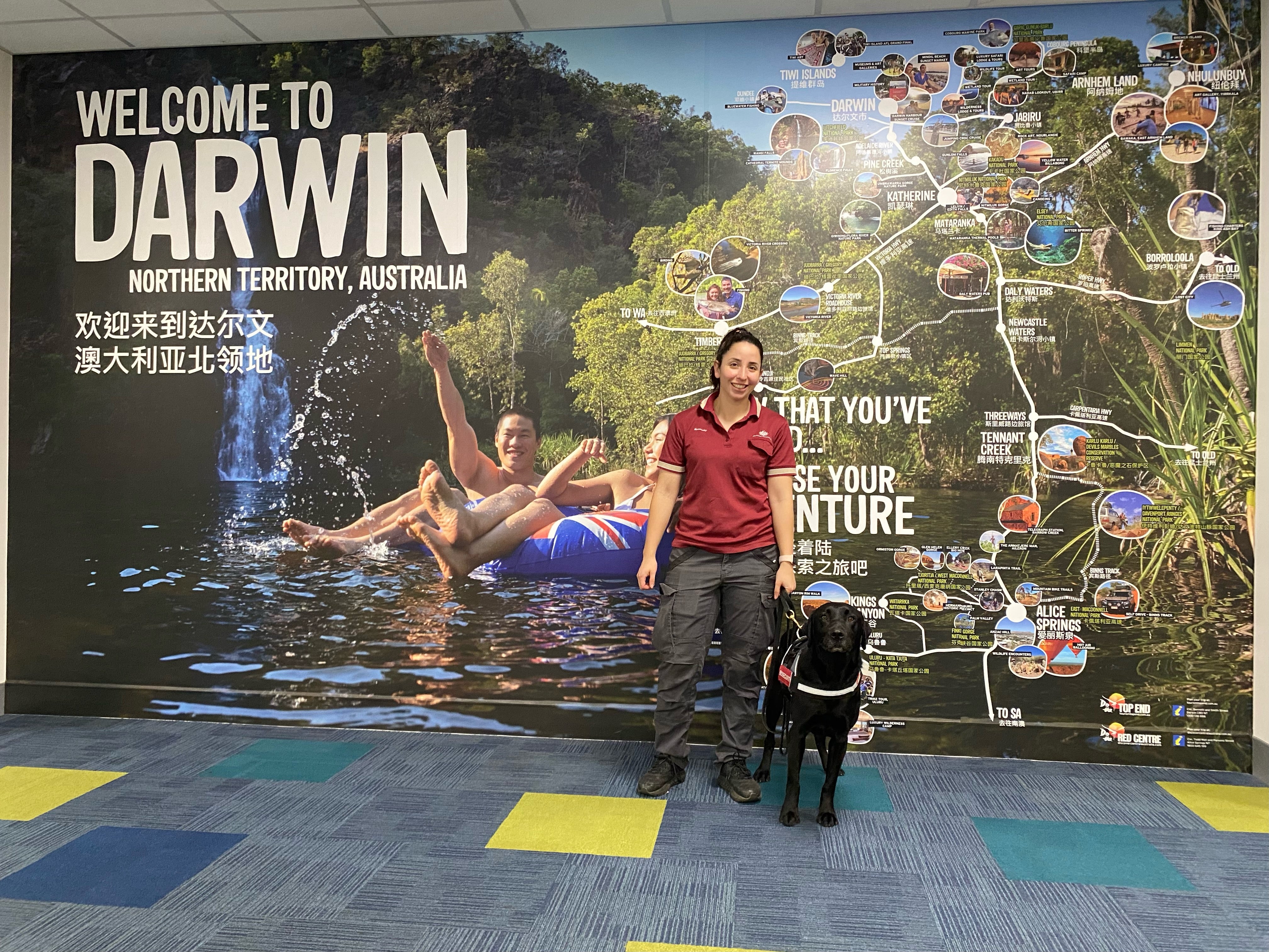 Detector Dog Zinta in Darwin with handler at Darwin airport
