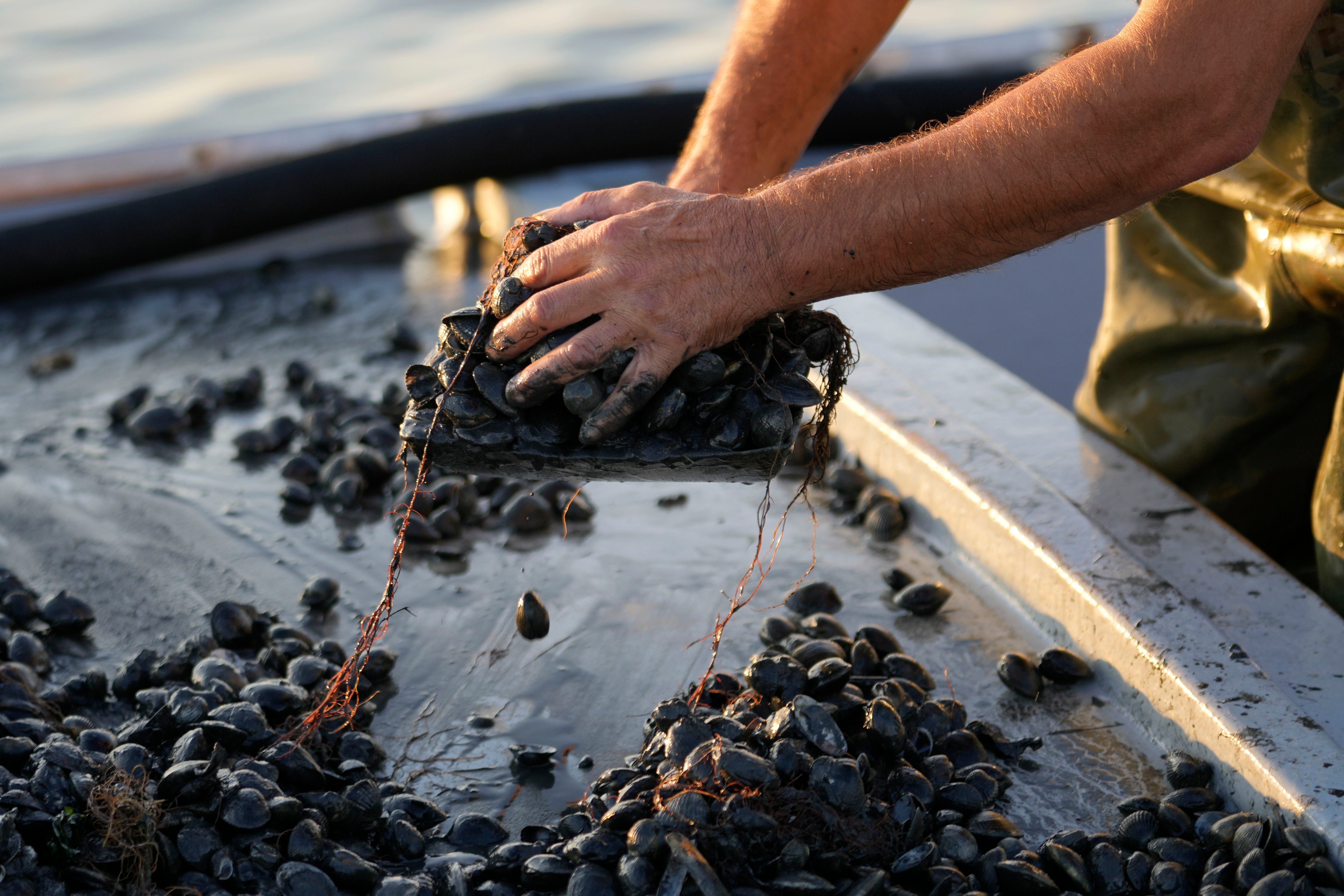 Italy Drought Po Delta