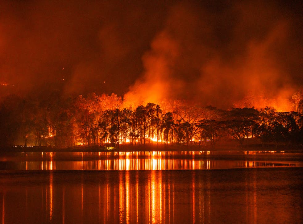 <p>A wildfire in Thailand in 2020. Wildfire risks have increased here and in many parts of the world due to hotter drier conditions</p>