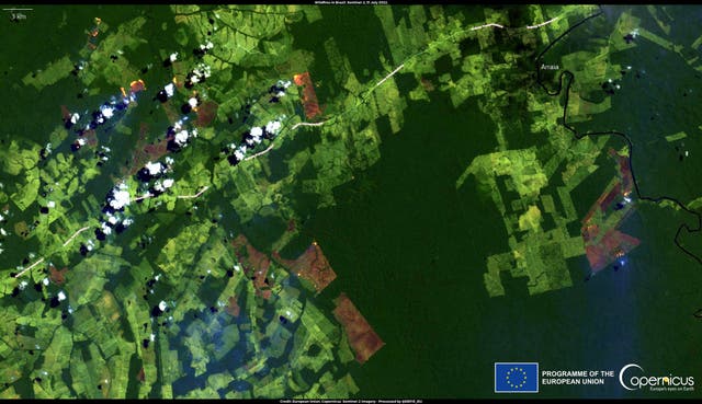 <p>Wildfires in the Amazonas region of Brazil are seen from space</p>